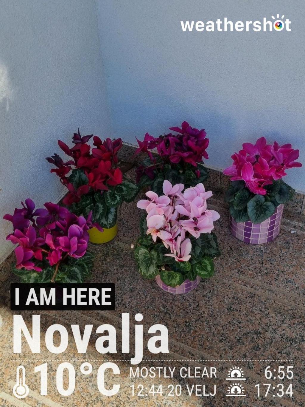 Apartment Dony - Ticic Novalja Exterior foto